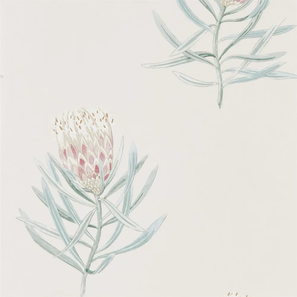 Art Of The Garden Protea Flower Dart216330 Tapet | Stuvbutiken
