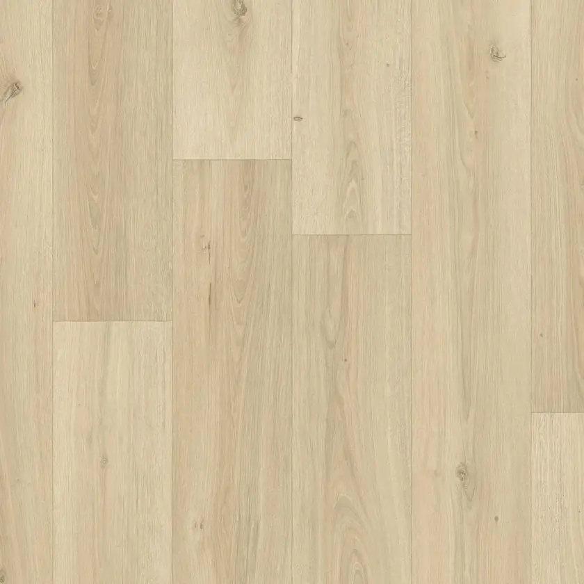 Powell Oak, Blonde 4m bred | Iconik T-Extra