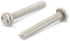 Schäfer & Peters 9101248 Säkerhetsskruv M4, med cylinderhuvud, A2, 100-pack M4 x 8 mm