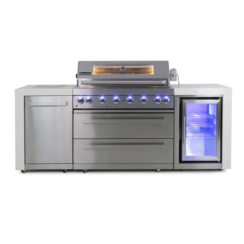 Stor rostfri gasolgrill/utekök | Austin
