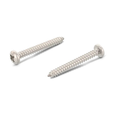 Schäfer & Peters 7981406319 Skruv 6,3 mm, RXS A4 ST, DIN 7981 C 6,3 x 19 mm, 500-pack