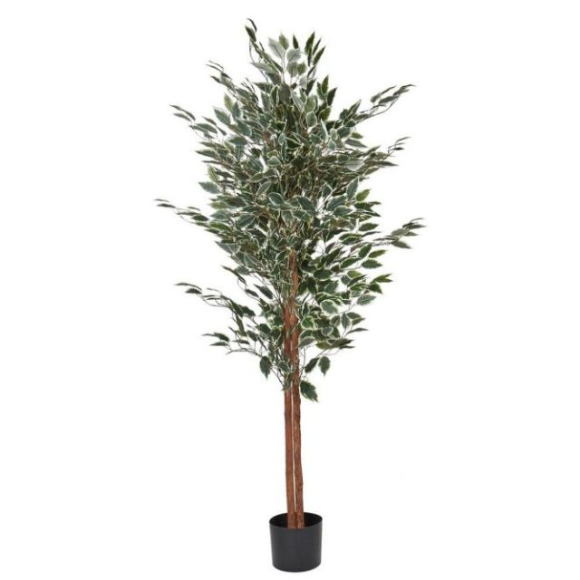 Konstgjord växt Ficus