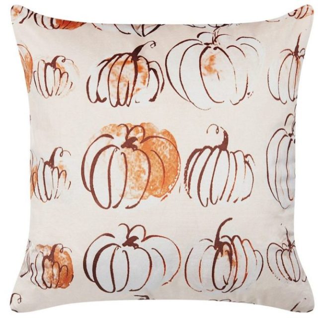 Prydnadskuddar Cucurbita